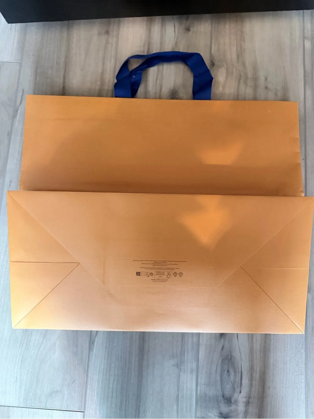 Louis Vuitton Paper Bag